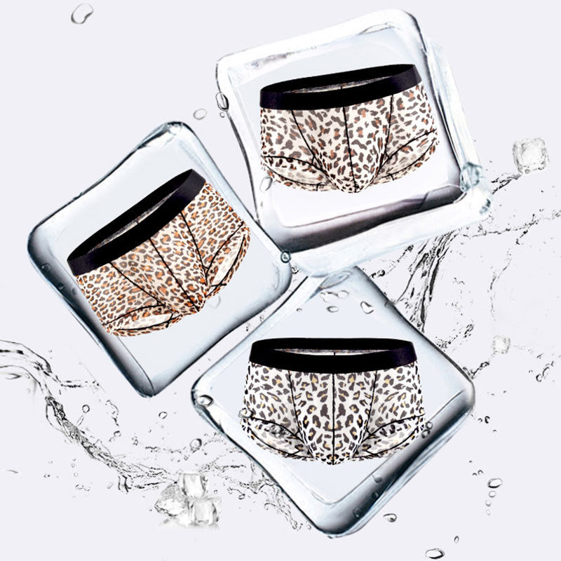 Men's Triangle Underwear Men's Low Waist Nylon Mesh Single Layer Breathable