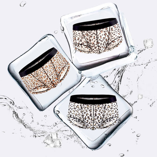 Men's Triangle Underwear Men's Low Waist Nylon Mesh Single Layer Breathable