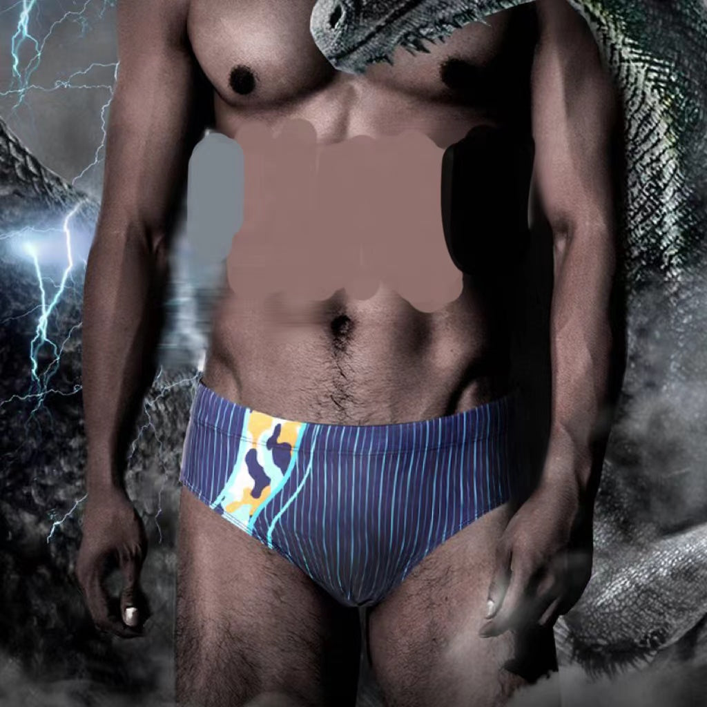 Men's Speedos Briefs Boxer Trunks Men