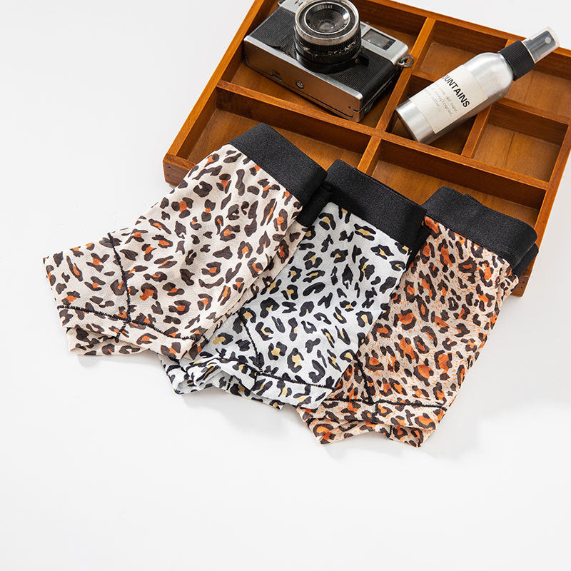 Men's Triangle Underwear Men's Low Waist Nylon Mesh Single Layer Breathable