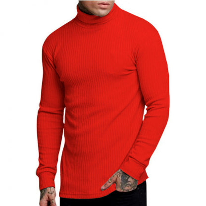 Casual Men's Fashion Solid Color High-neck Twisted Stripe Knit Sweater Slim Fit Knitwear