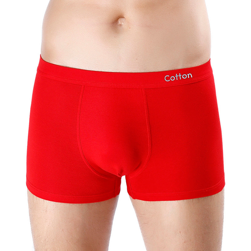 Men's Cotton U-convex Mid-waist Three-dimensional Printed Underwear