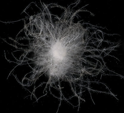 Verdickte Daunenjacke mit Kapuze