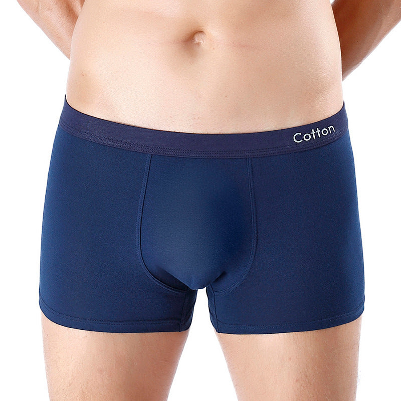 Men's Cotton U-convex Mid-waist Three-dimensional Printed Underwear